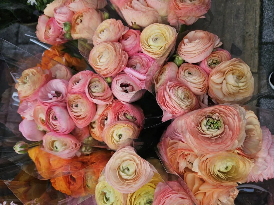 KakaoTalk_20260404_171915318_05_(1).jpg?type=w1