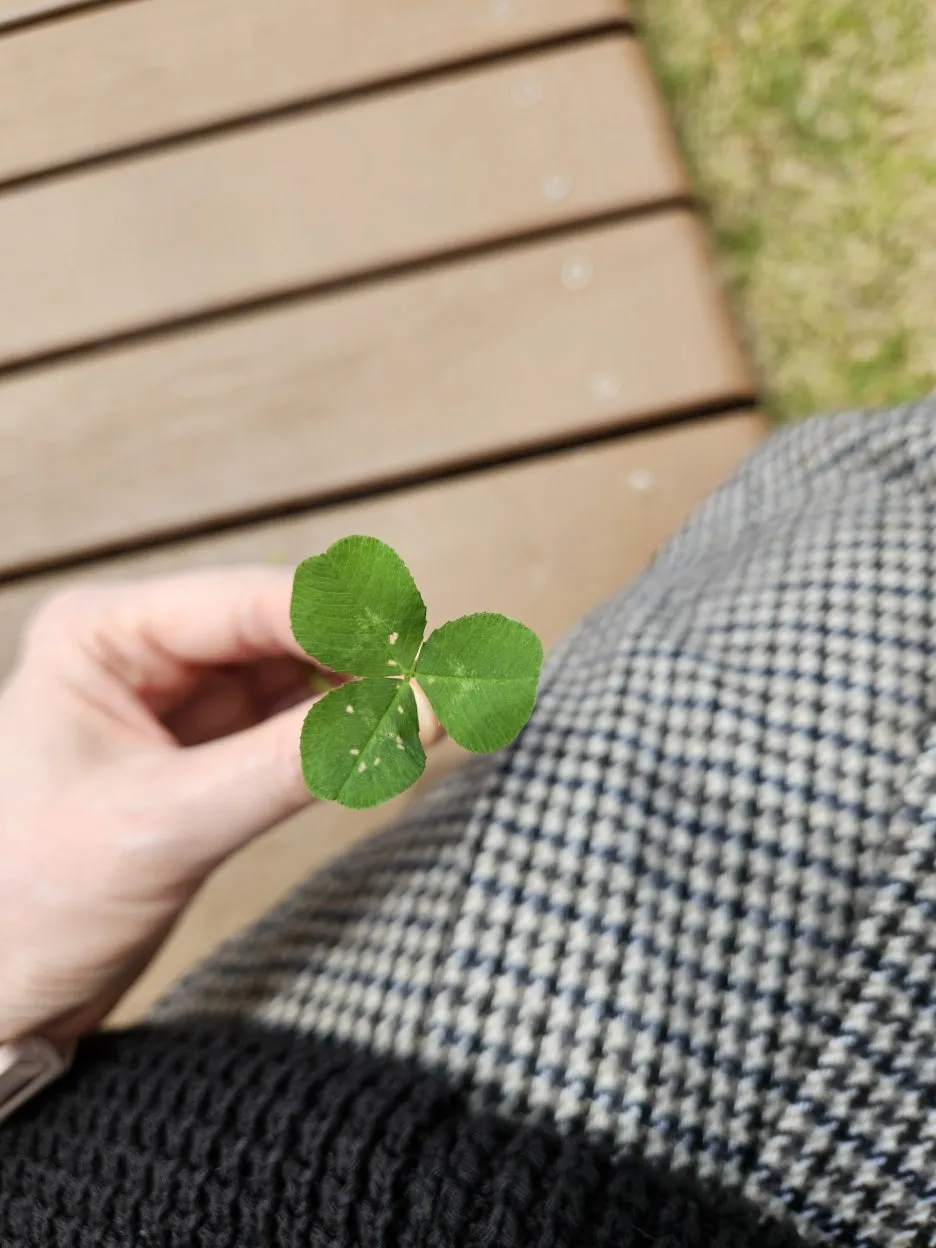 KakaoTalk_20260423_135535802.jpg?type=w1