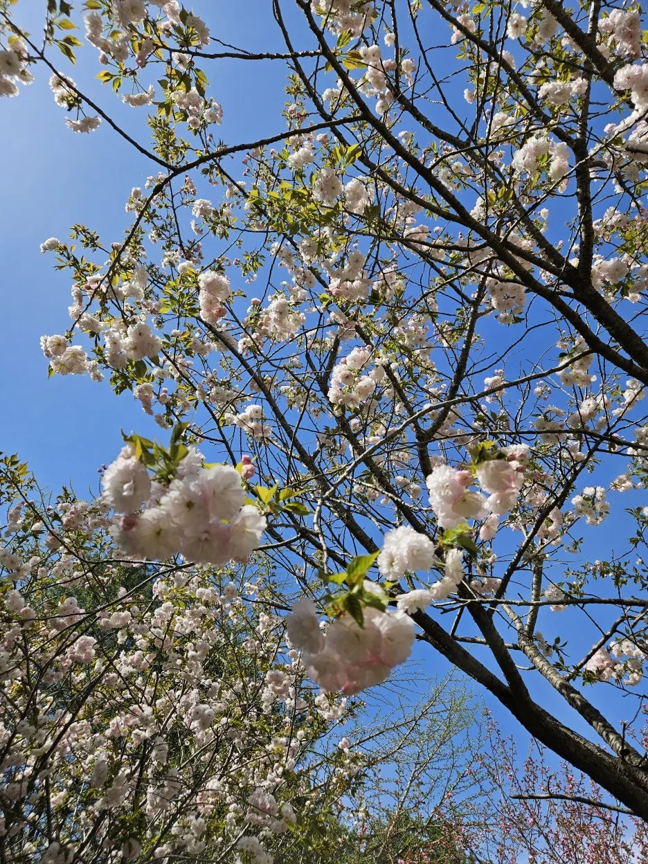 KakaoTalk_20260416_222400600_05.jpg?type=w1