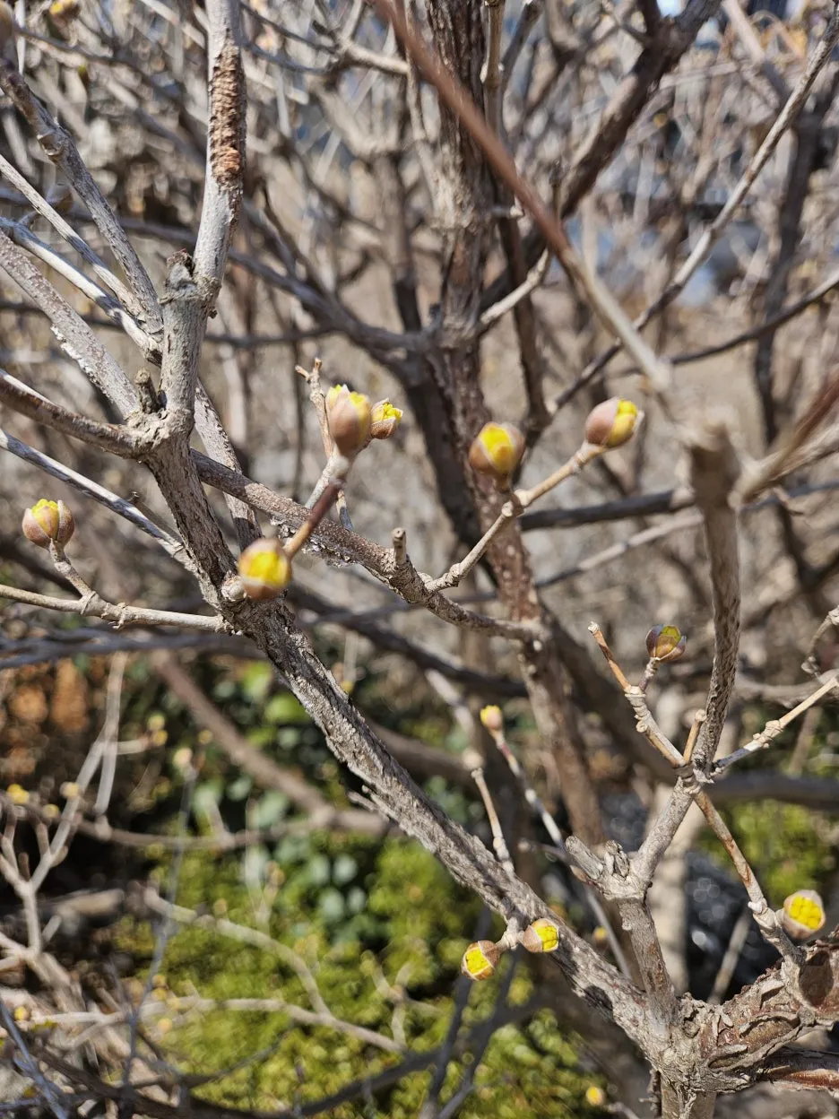 KakaoTalk_20260310_123835660_01.jpg?type=w1