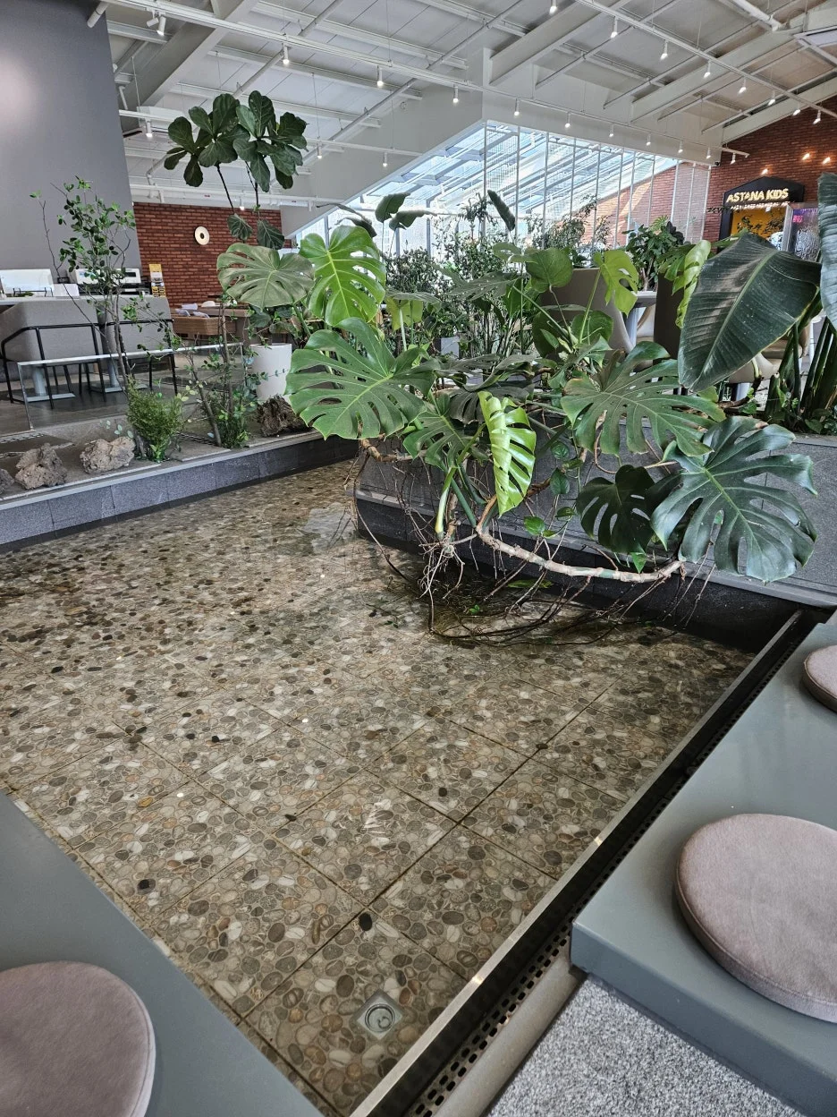 KakaoTalk_20260324_235500403_13.jpg?type=w1