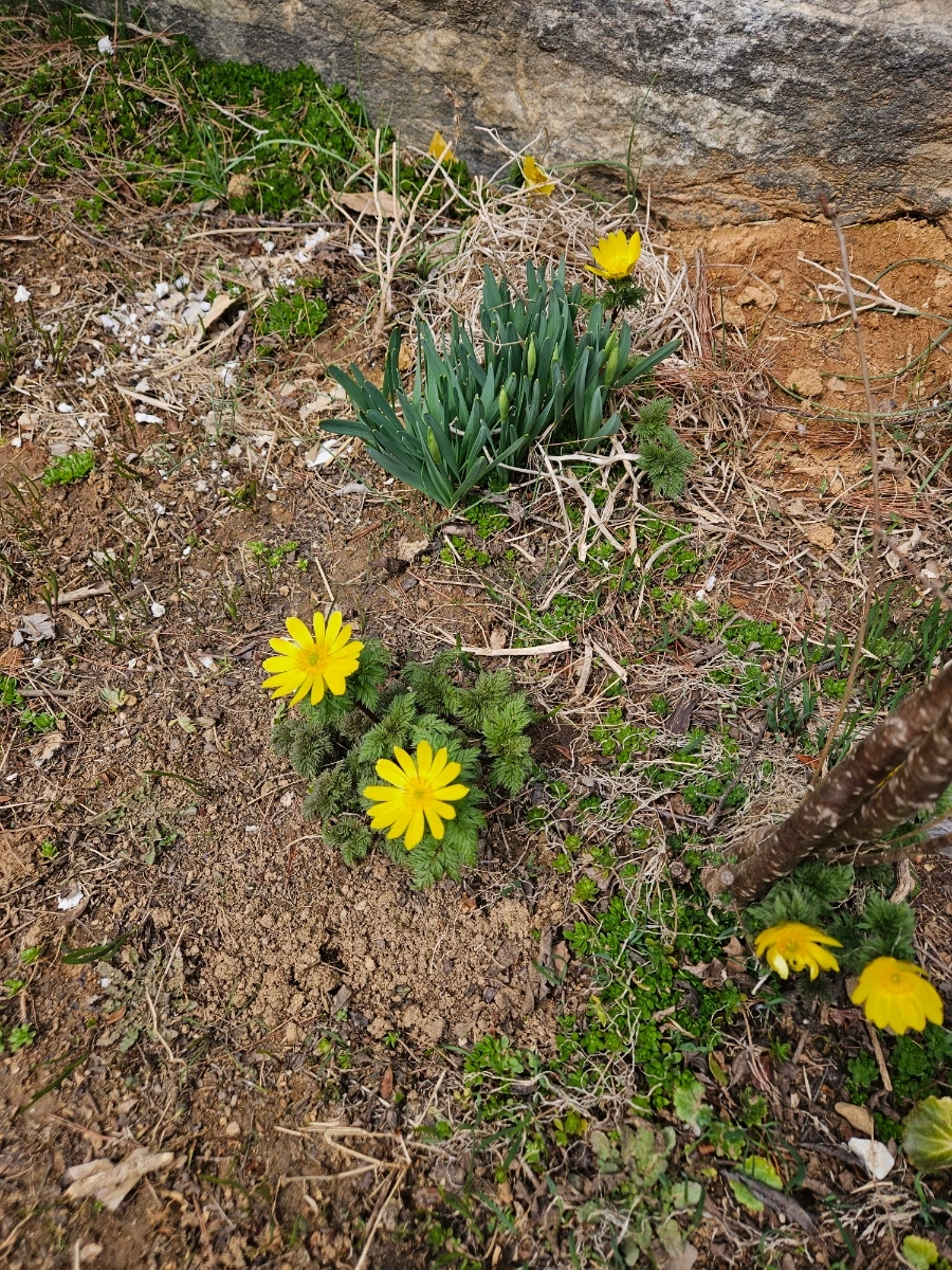 900%EF%BC%BF20260322%EF%BC%BF123640.jpg?type=w1