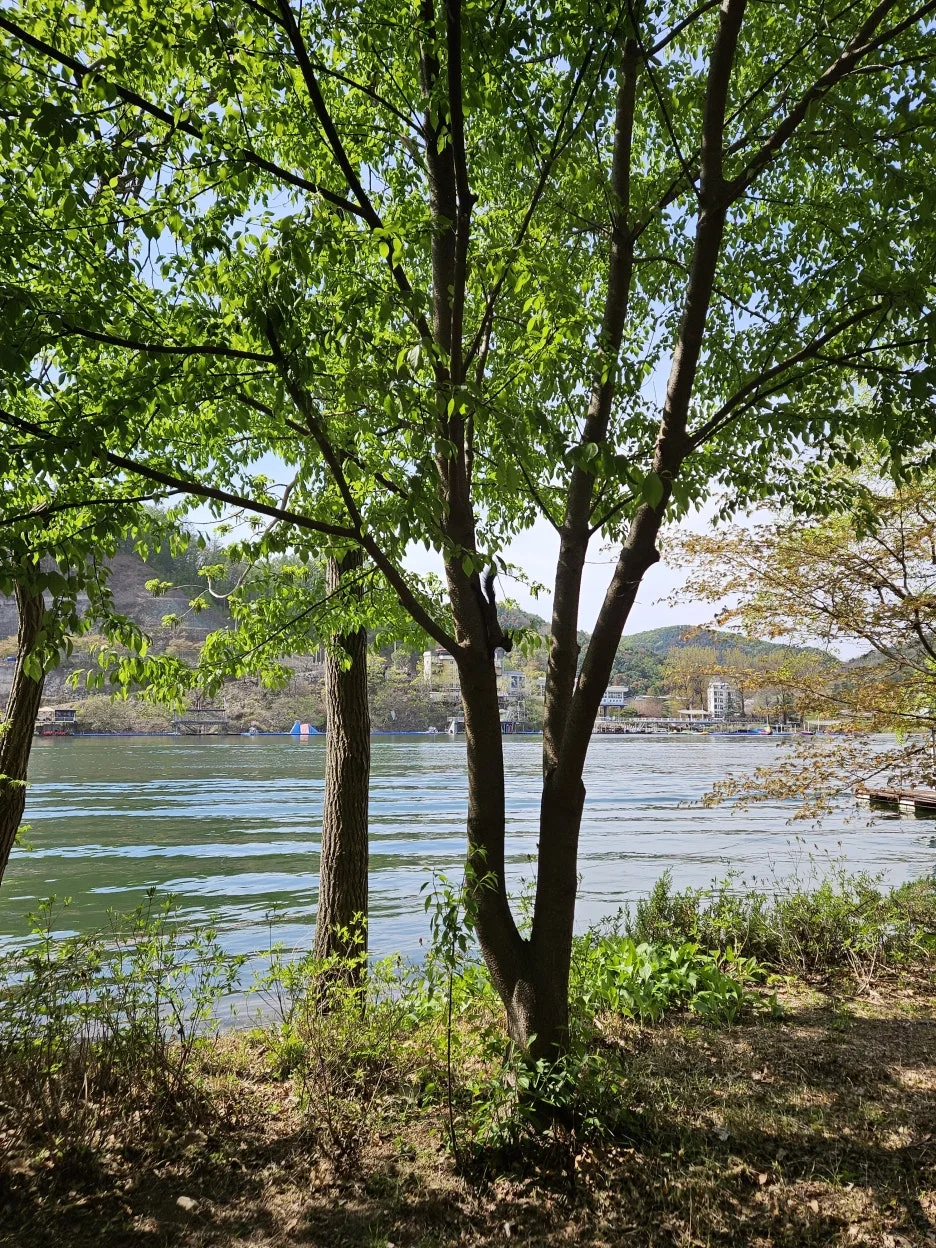 KakaoTalk_20260416_222400600_15.jpg?type=w1