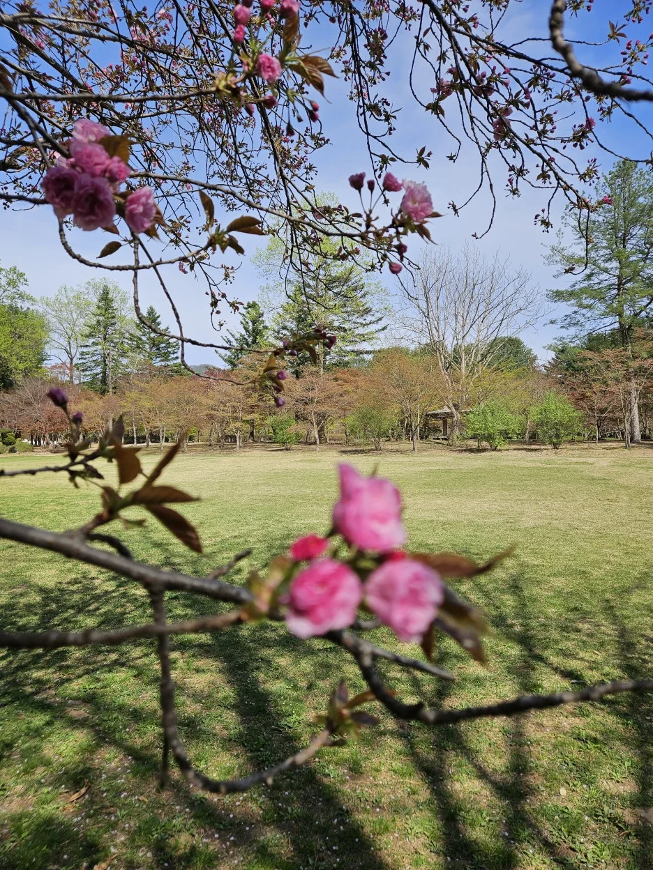 KakaoTalk_20260416_222400600_06.jpg?type=w1