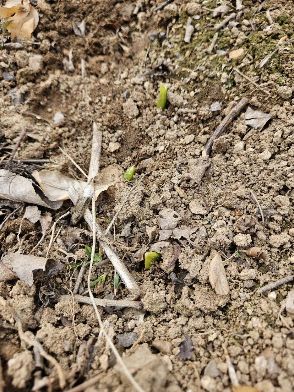 KakaoTalk_20260301_220522613_08.jpg?type=w1