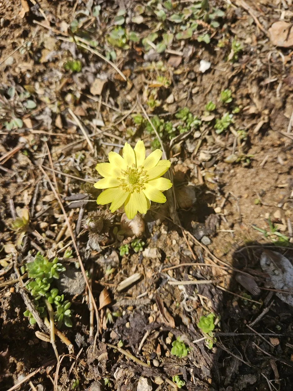 KakaoTalk_20260310_123835660_03.jpg?type=w1