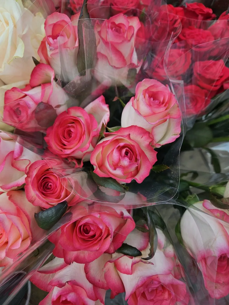 KakaoTalk_20260404_171915318_16.jpg?type=w1