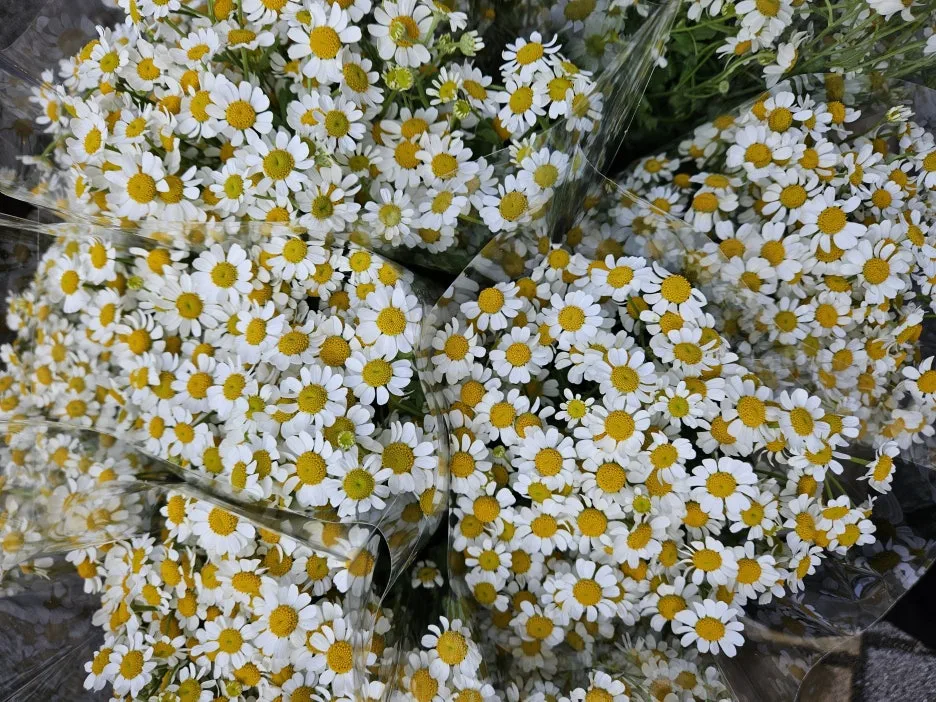 KakaoTalk_20260404_171915318_07.jpg?type=w1