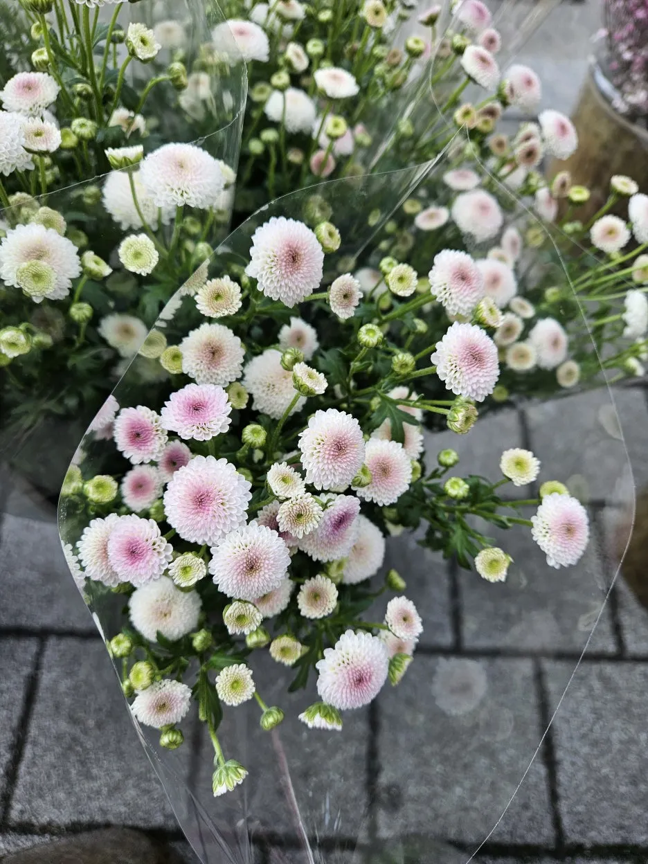 KakaoTalk_20260404_171915318_12_(1).jpg?type=w1