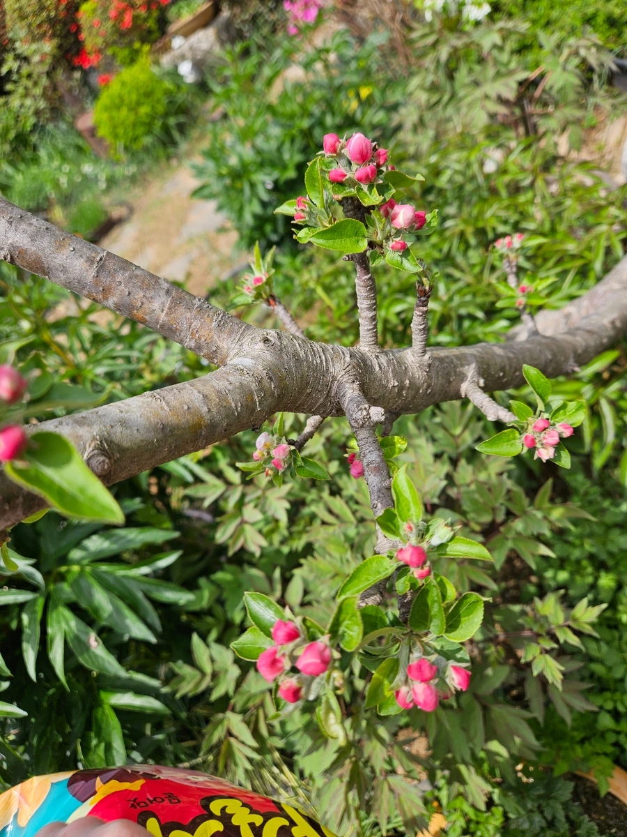 900_20260419_123745.jpg?type=w1