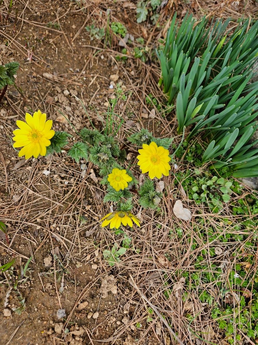 900%EF%BC%BF20260322%EF%BC%BF123647.jpg?type=w1