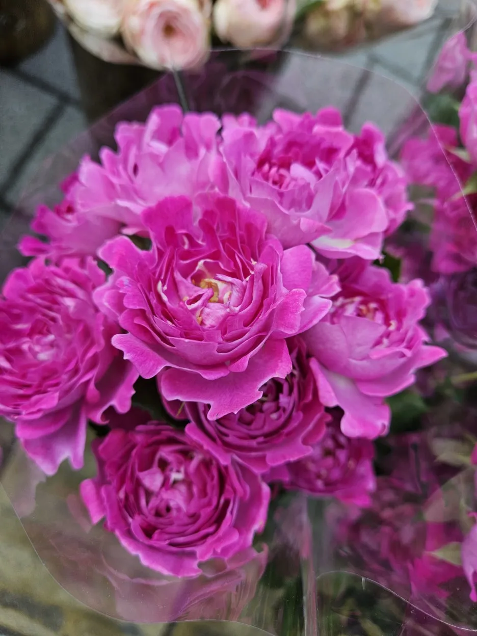 KakaoTalk_20260404_171915318_10.jpg?type=w1