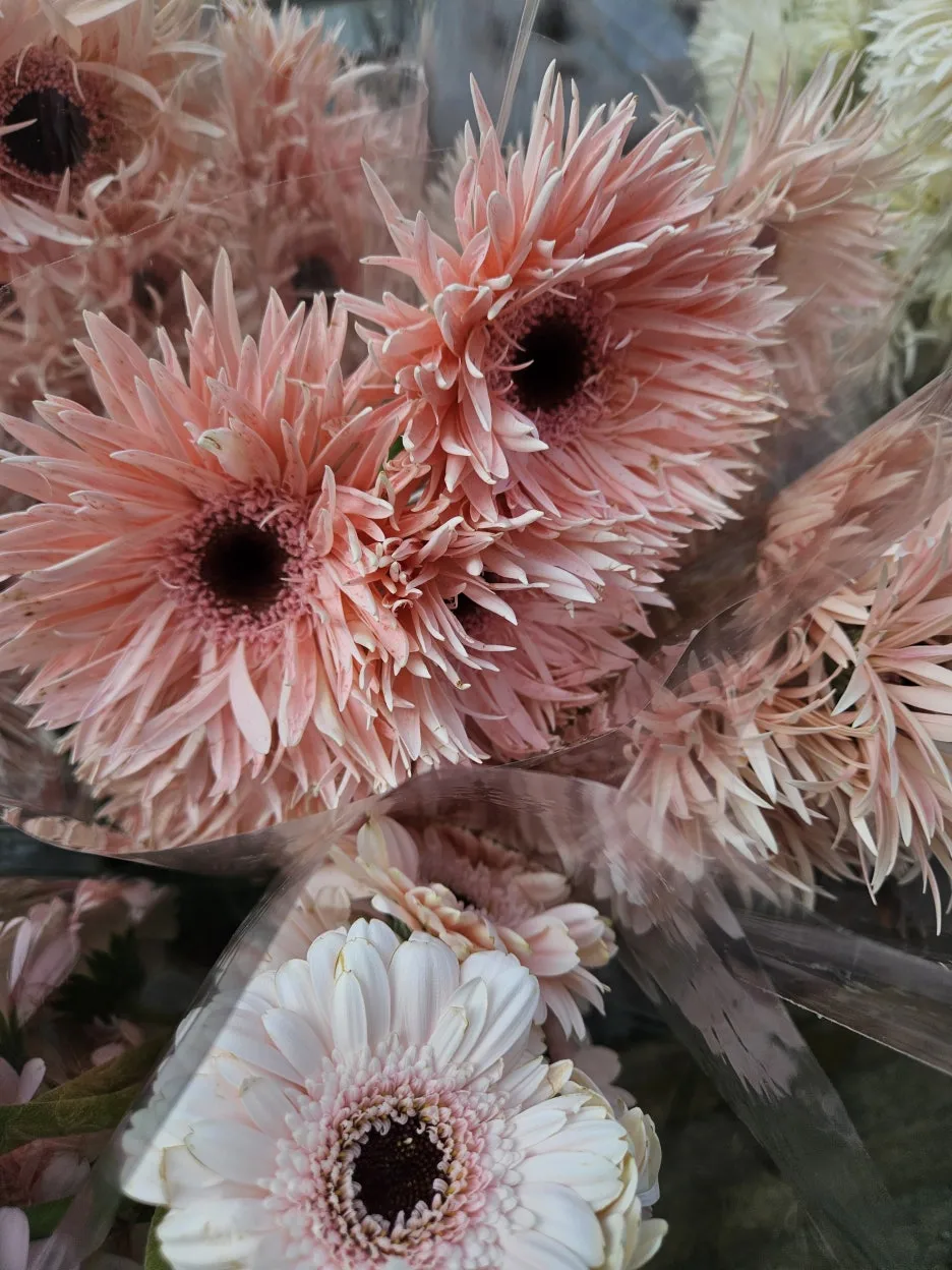 KakaoTalk_20260404_171915318_02_(1).jpg?type=w1