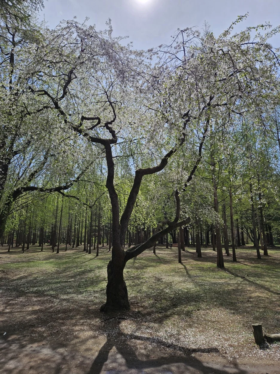 KakaoTalk_20260416_222400600_21.jpg?type=w1