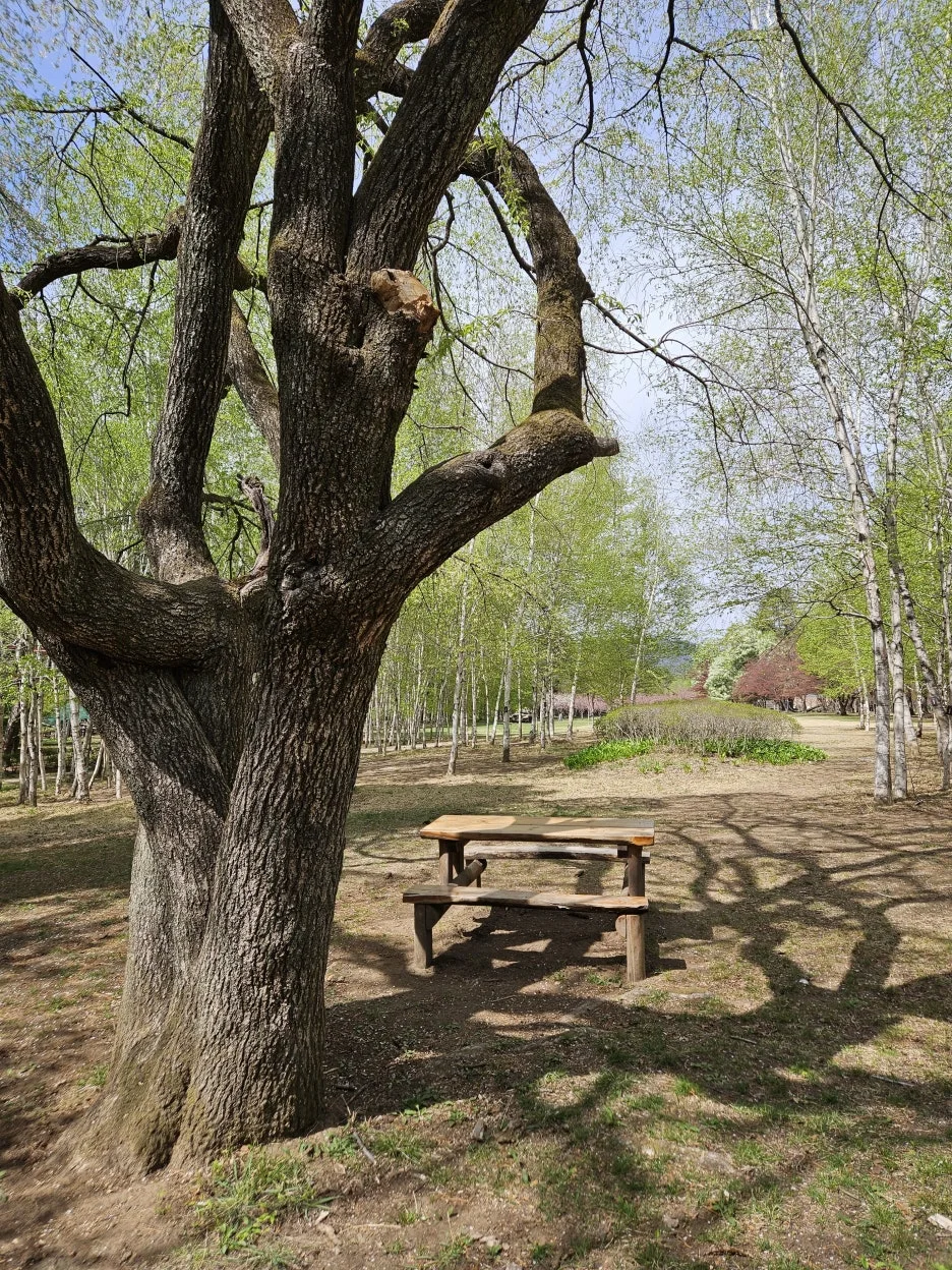 KakaoTalk_20260416_222400600_20.jpg?type=w1