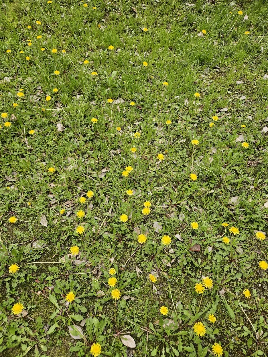 KakaoTalk_20260422_225929312.jpg?type=w1