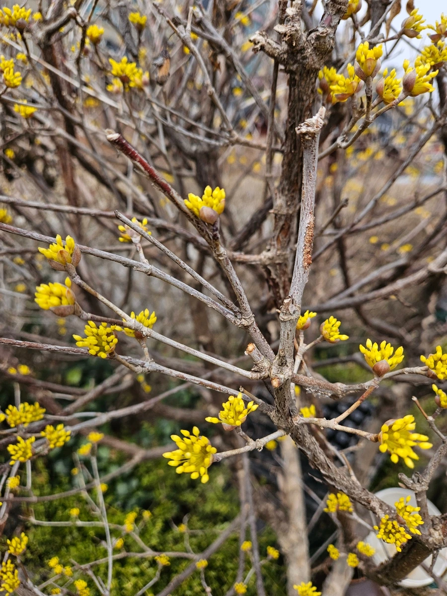 900%EF%BC%BF20260322%EF%BC%BF123812.jpg?type=w1