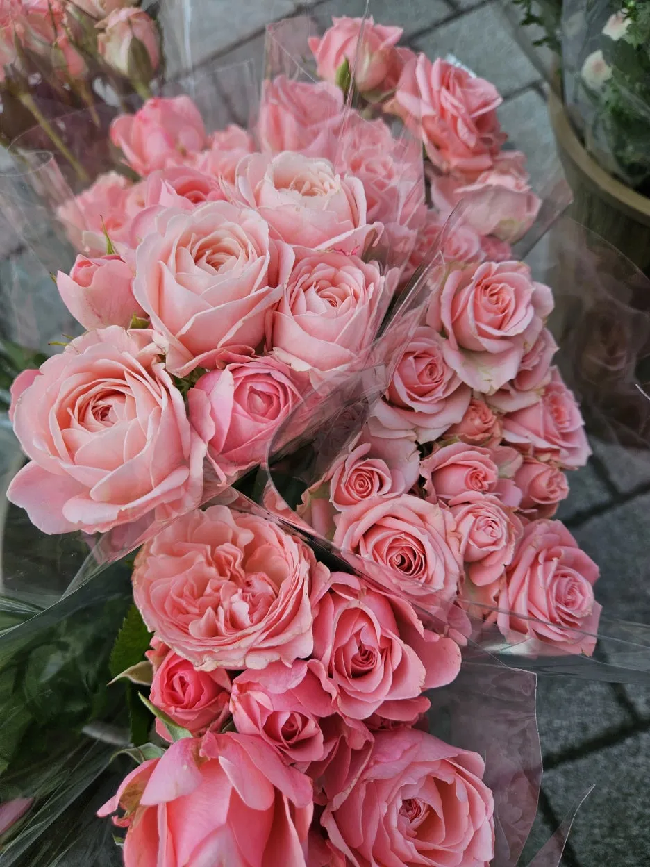 KakaoTalk_20260404_171915318_13.jpg?type=w1