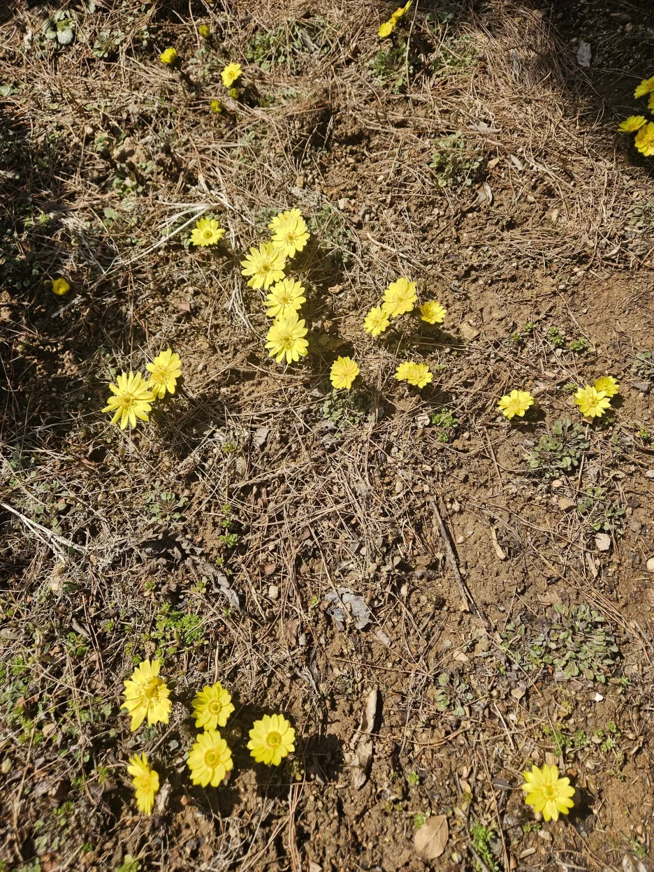 KakaoTalk_20260310_123835660_02.jpg?type=w1