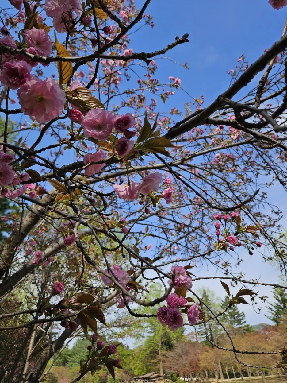 KakaoTalk_20260416_222400600_04.jpg?type=w1