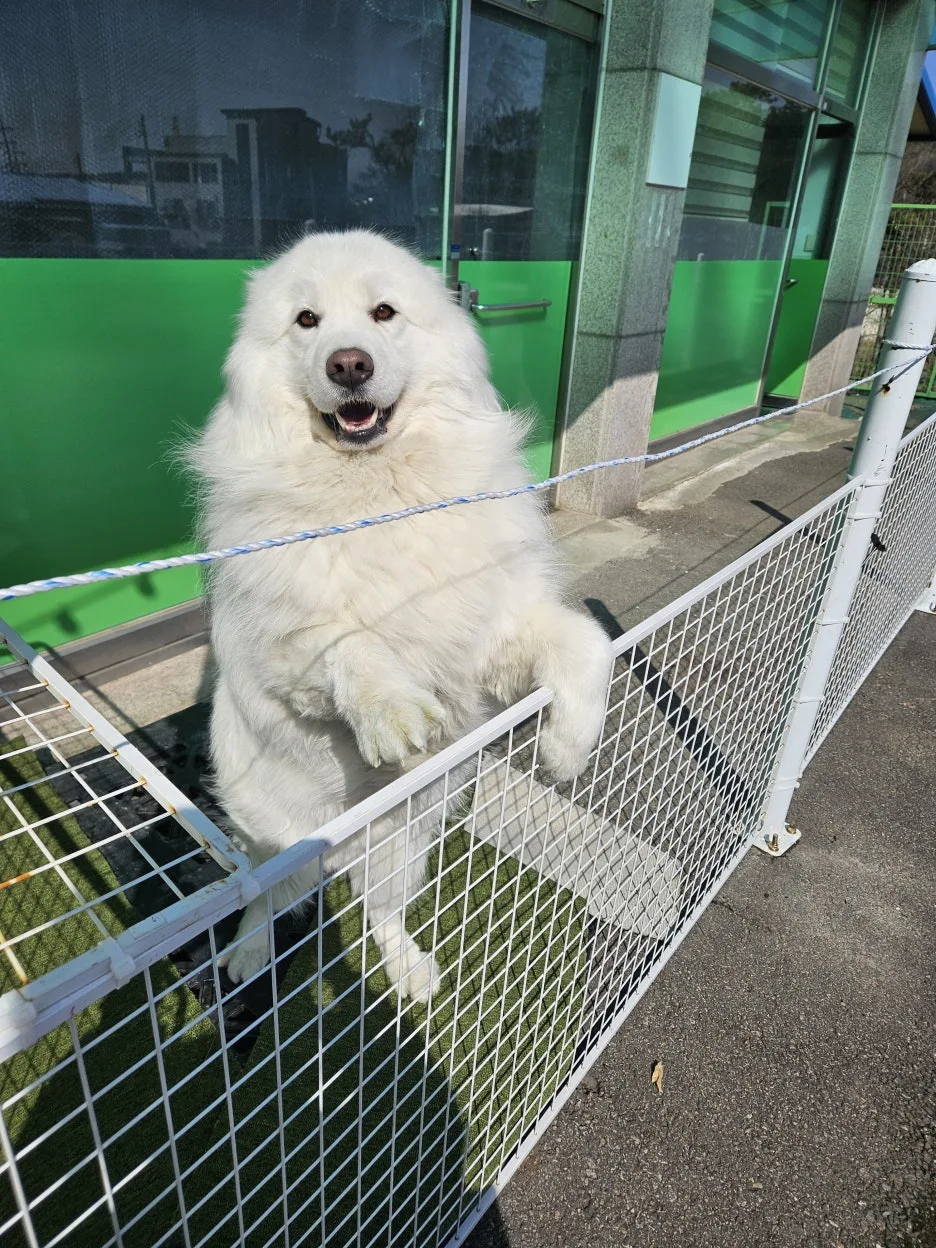 %EB%B0%B1%EA%B5%AC.jpg?type=w1