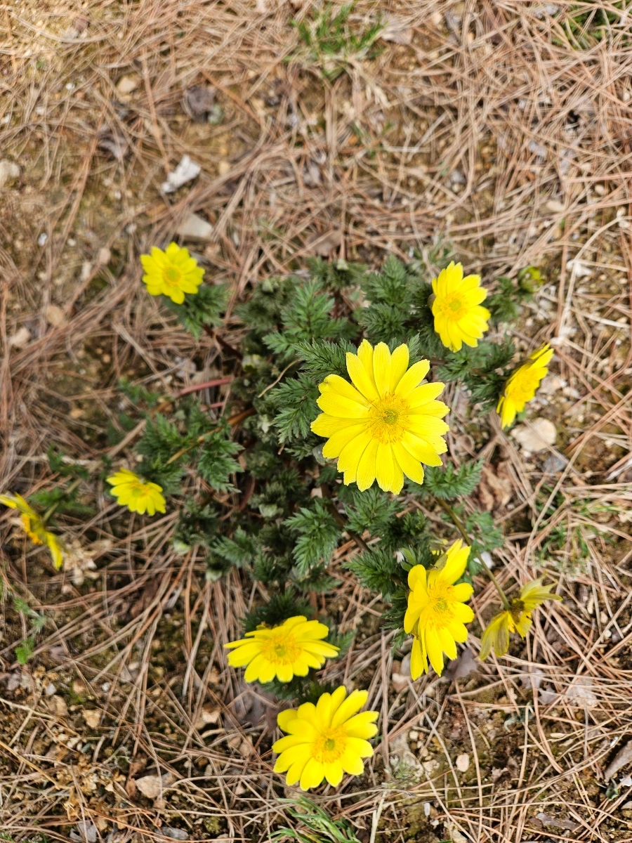 900%EF%BC%BF20260322%EF%BC%BF123436.jpg?type=w1