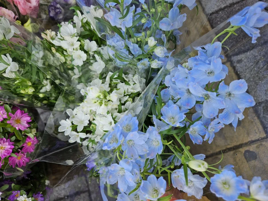 KakaoTalk_20260404_171915318_04_(1).jpg?type=w1