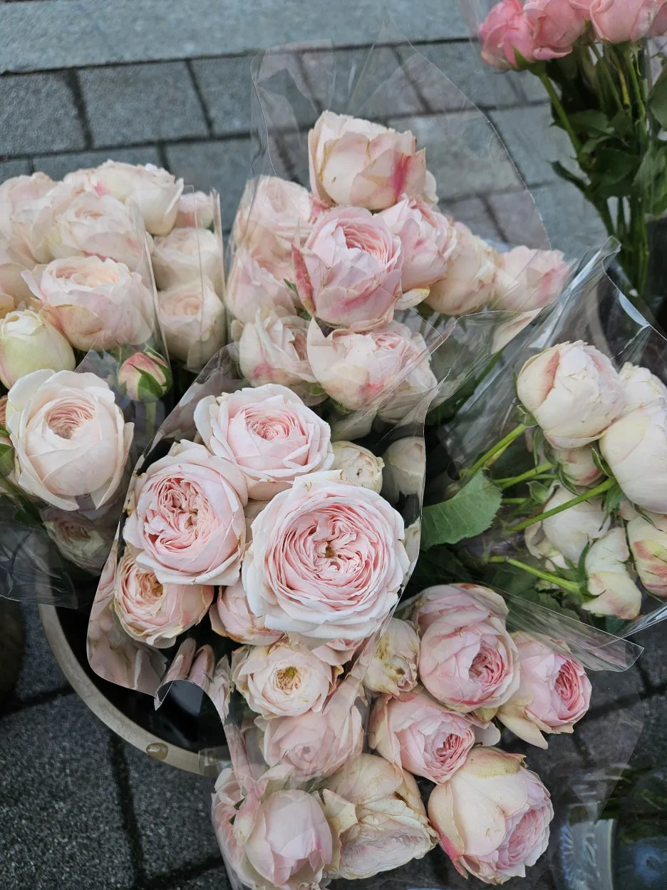 KakaoTalk_20260404_171915318_15_(1).jpg?type=w1