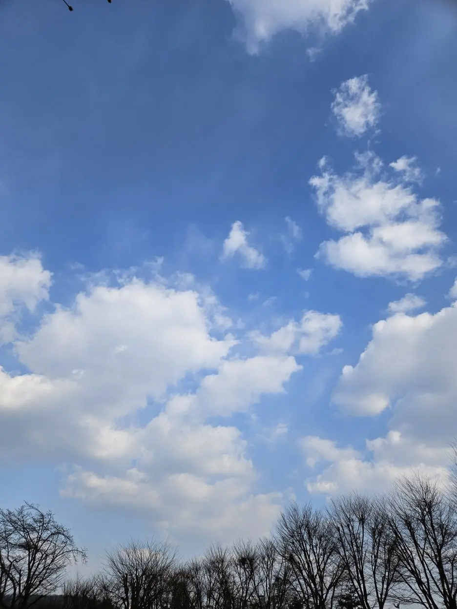 KakaoTalk_20260312_231216208_02.jpg?type=w1