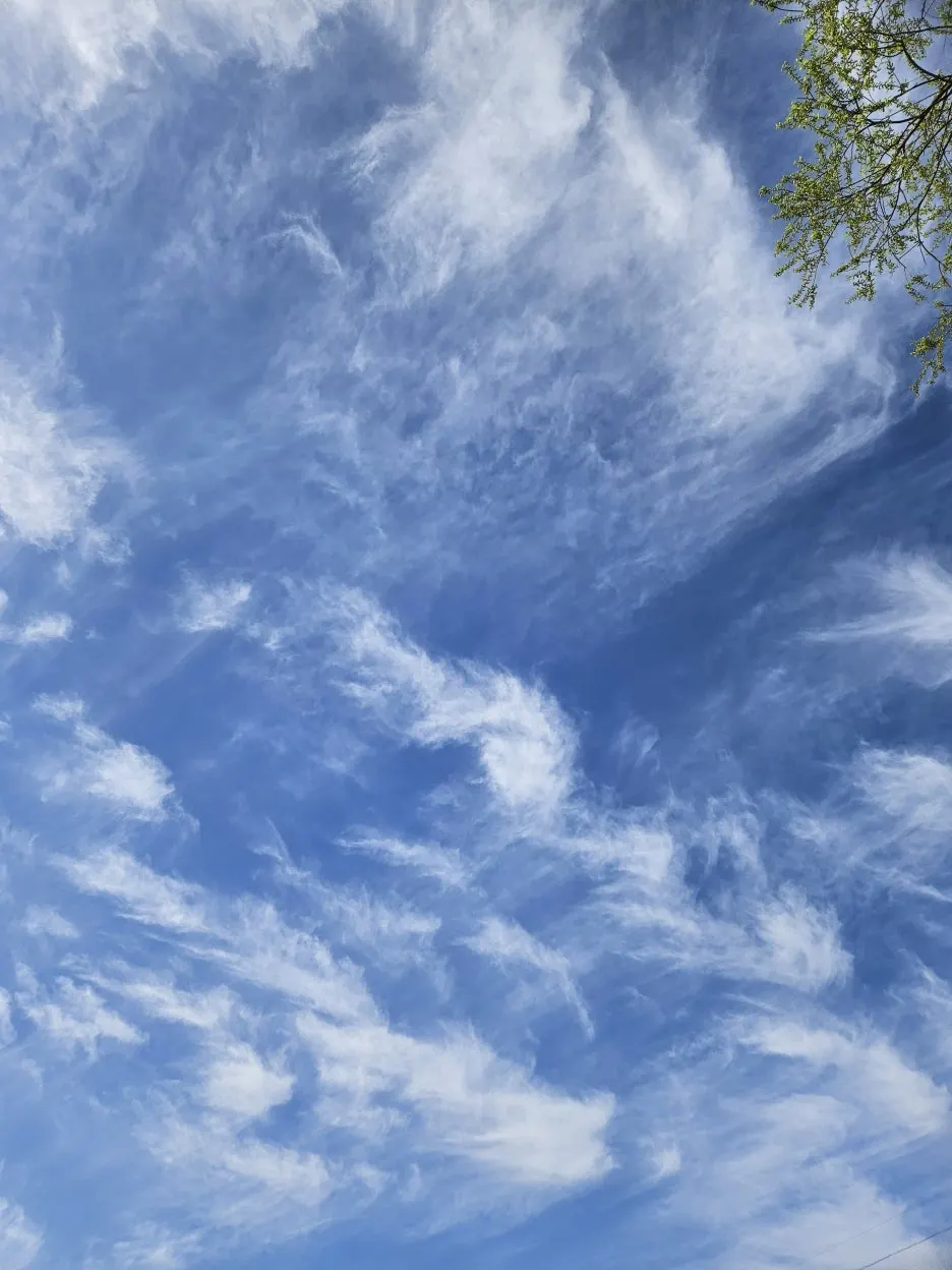 KakaoTalk_20260416_222400600_02.jpg?type=w1