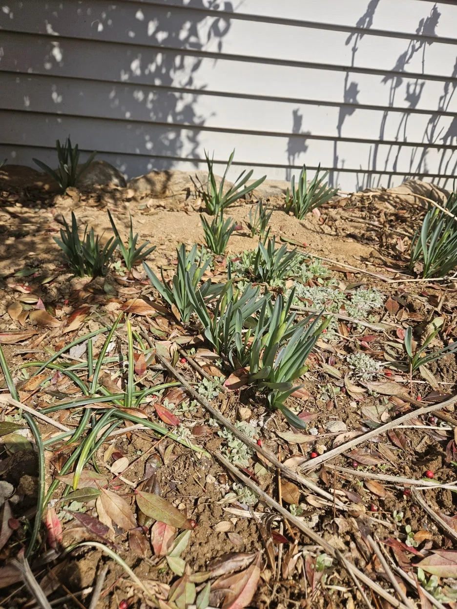 KakaoTalk_20260310_123835660_04.jpg?type=w1