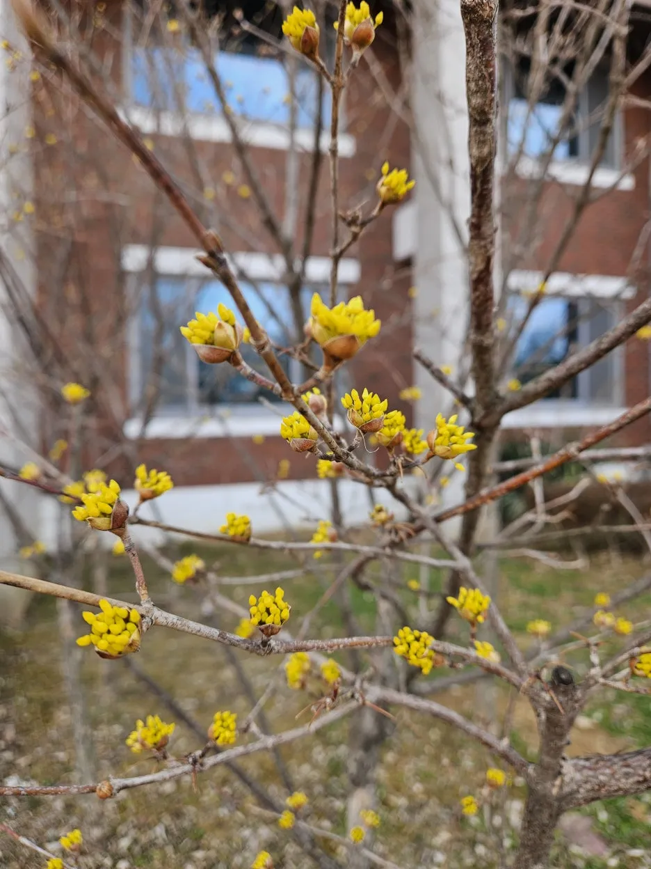 KakaoTalk_20260312_231216208_03.jpg?type=w1