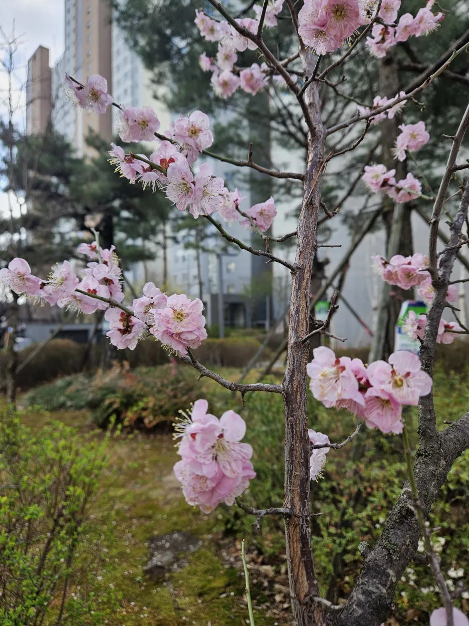 KakaoTalk_20260403_111809646_02.jpg?type=w1