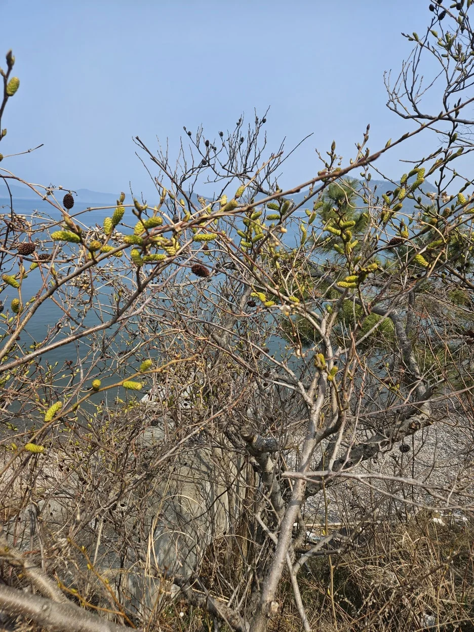 KakaoTalk_20260328_080441077_09.jpg?type=w1