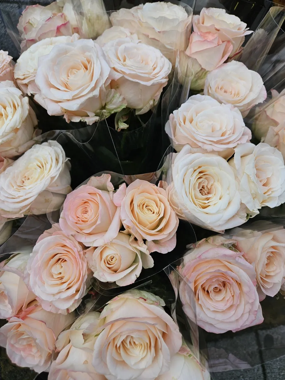 KakaoTalk_20260404_171915318_18.jpg?type=w1