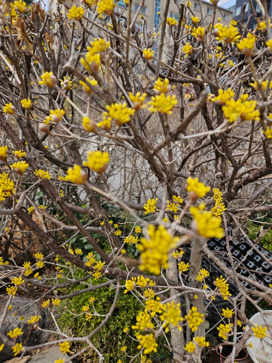 900%EF%BC%BF20260322%EF%BC%BF123758.jpg?type=w1