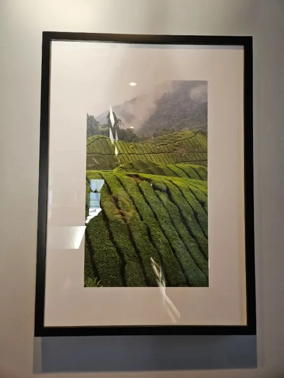 900%EF%BC%BF20260125%EF%BC%BF085502.jpg?type=w580