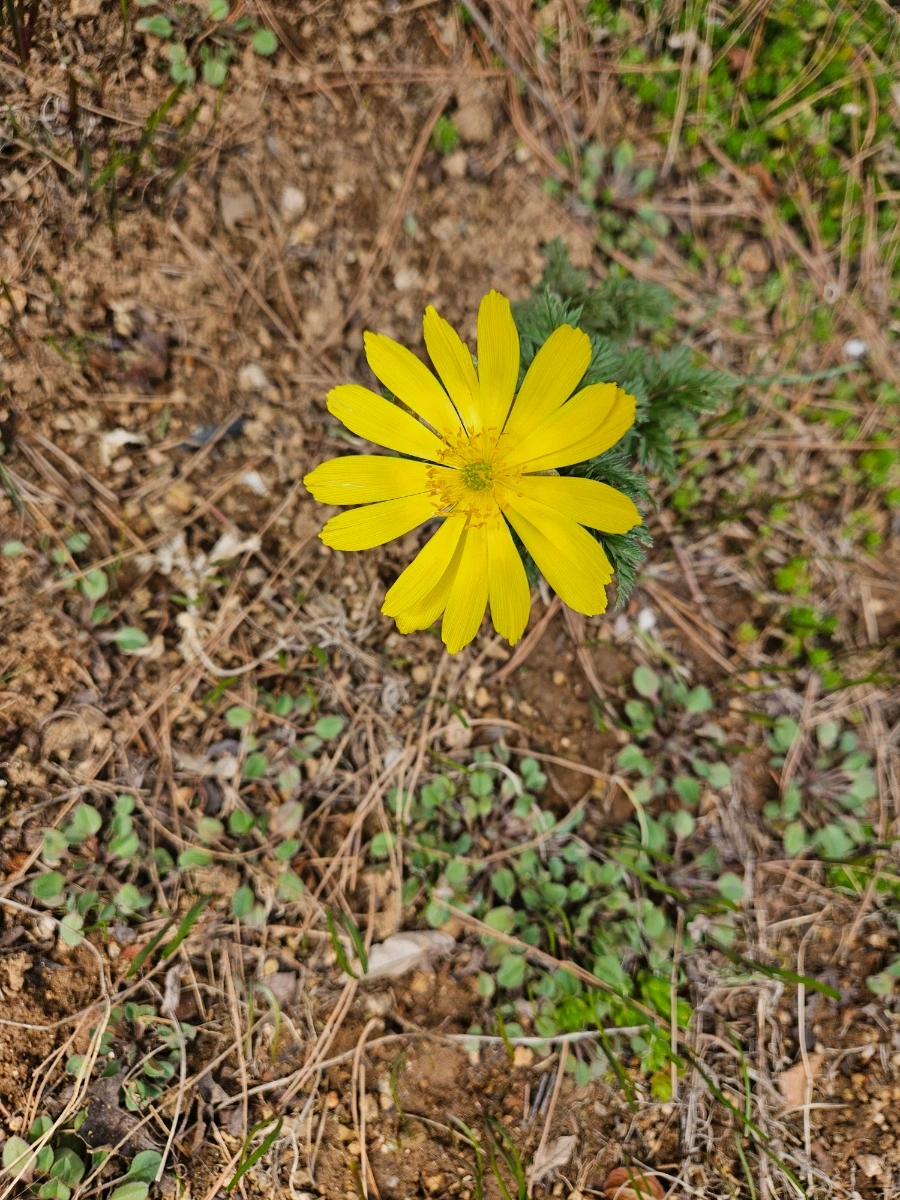 900%EF%BC%BF20260322%EF%BC%BF123645.jpg?type=w1