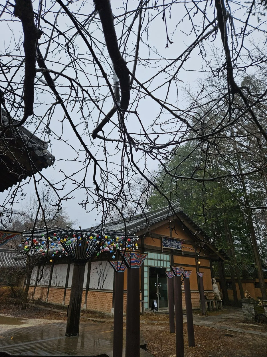 KakaoTalk_20260318_232711621_12.jpg?type=w1