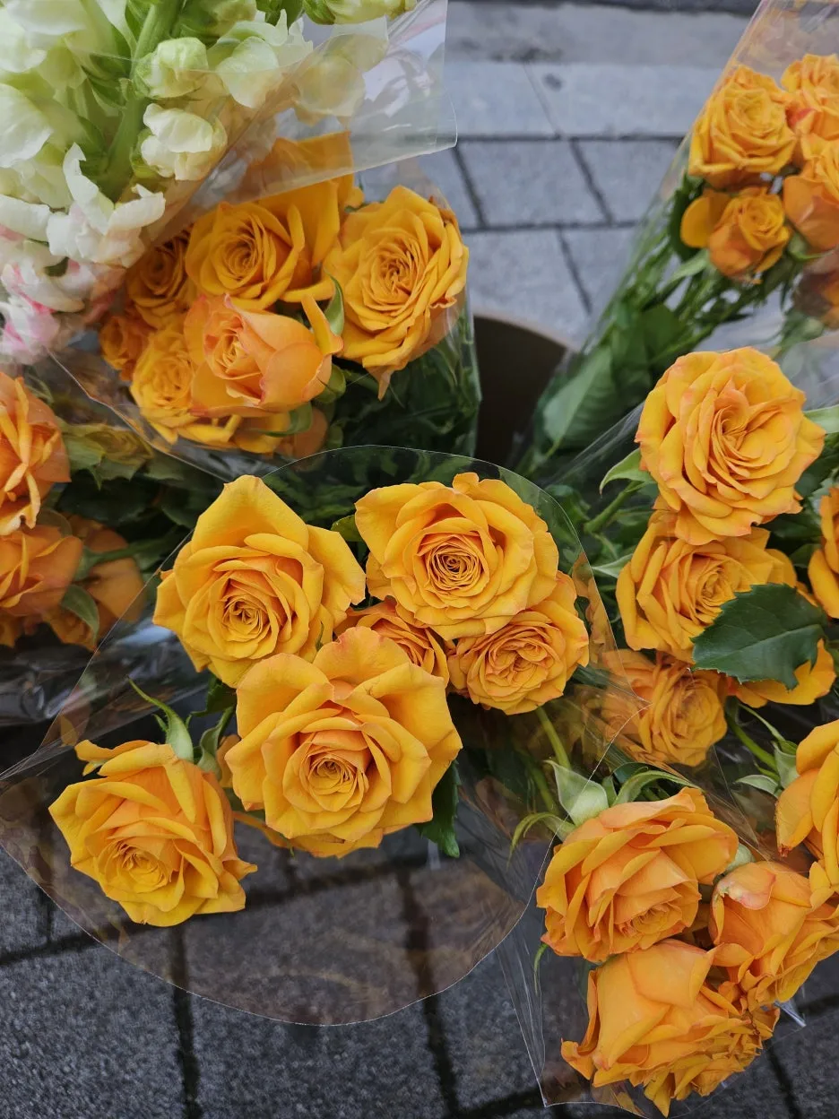 KakaoTalk_20260404_171915318_17.jpg?type=w1