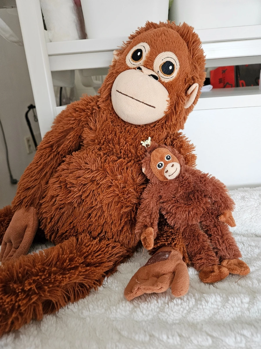 900_20260419_124254.jpg?type=w1