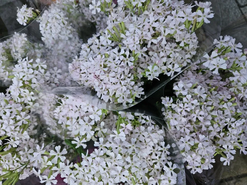 KakaoTalk_20260404_171915318_06_(1).jpg?type=w1