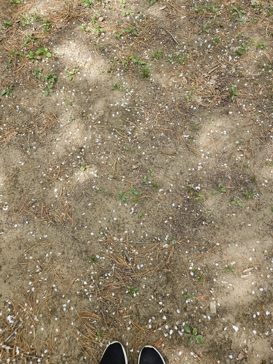 KakaoTalk_20260416_222400600_18.jpg?type=w1