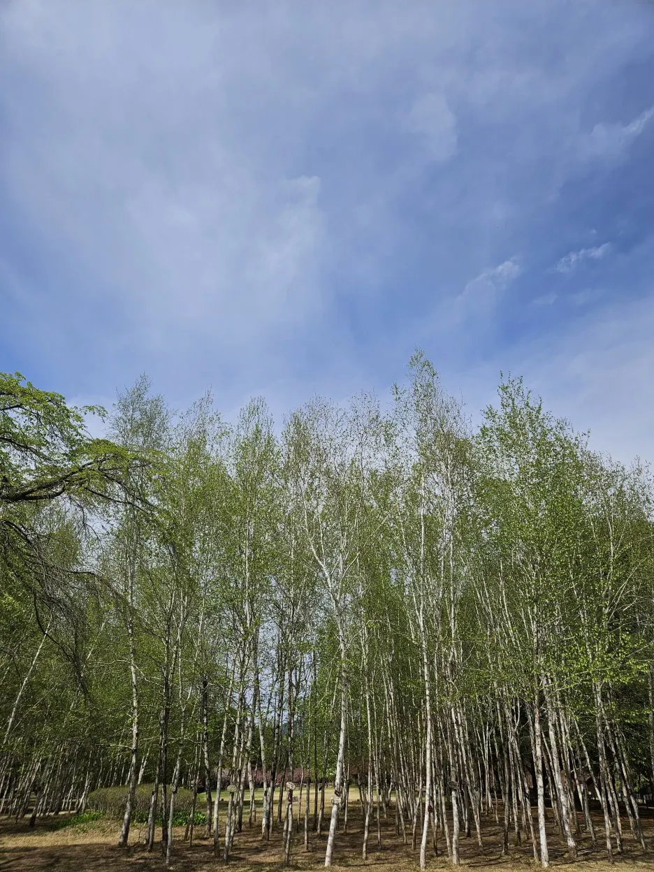 KakaoTalk_20260416_222400600_19.jpg?type=w1