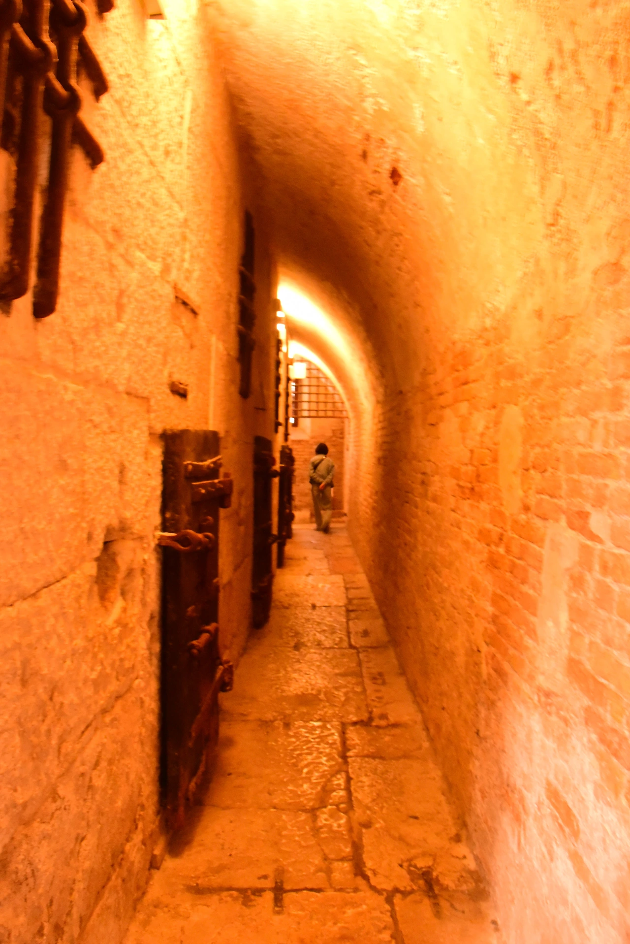 DSC_4865.JPG