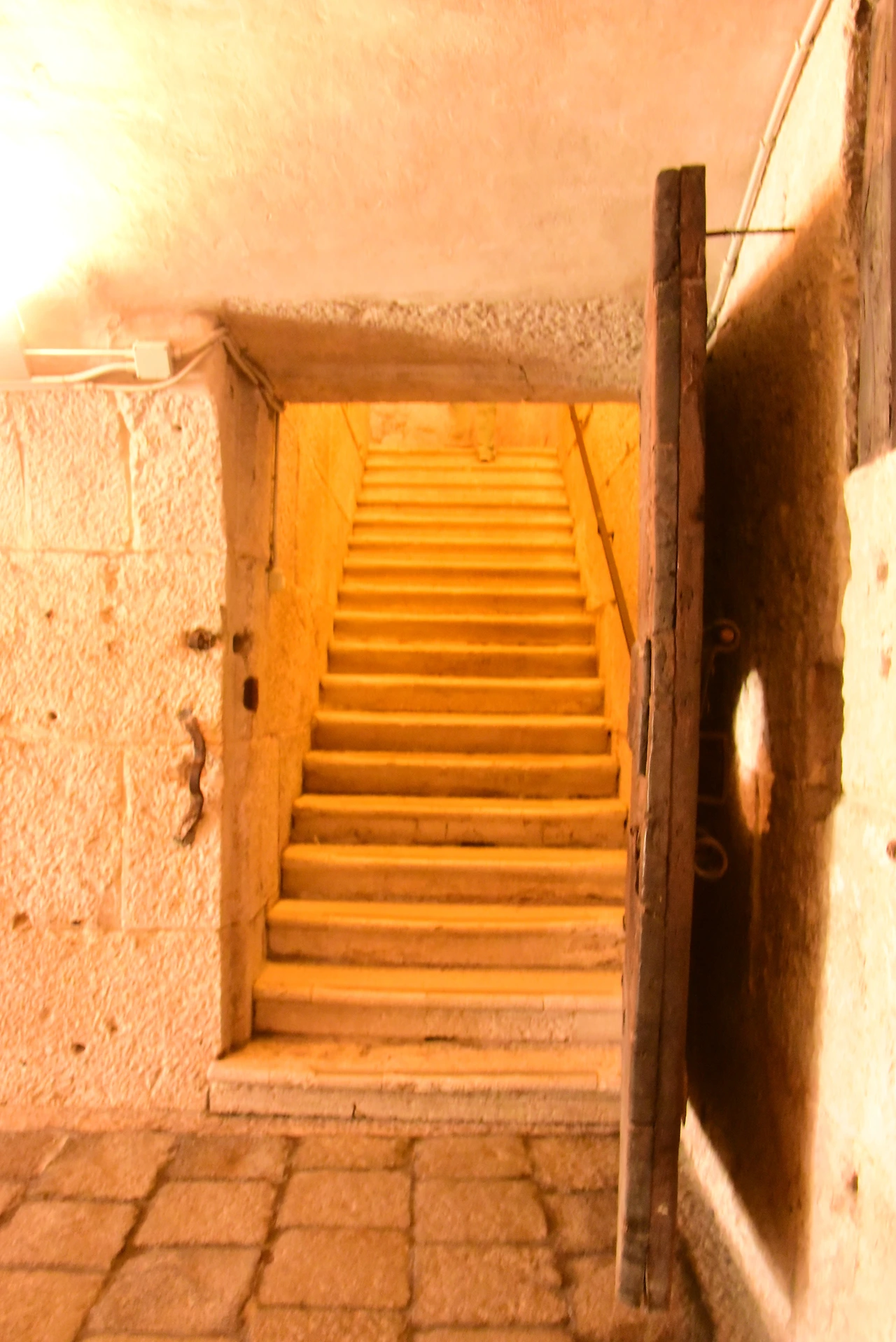DSC_4886.JPG