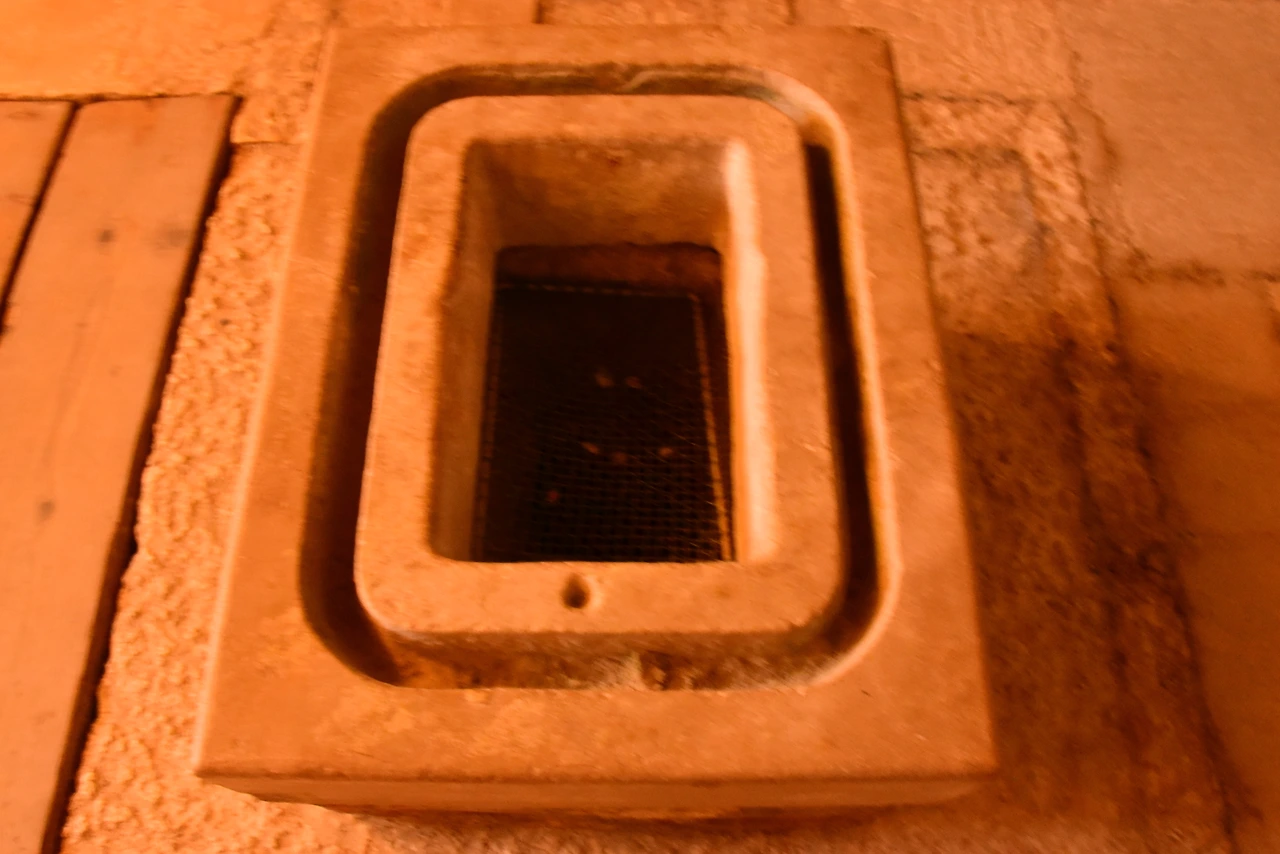 DSC_4871.JPG