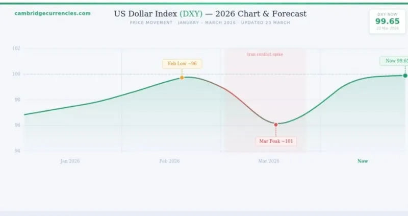 IMG%EF%BC%BF9591.jpg?type=w800