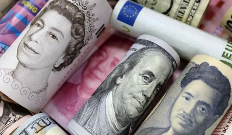 IMG%EF%BC%BF9592.jpg?type=w800