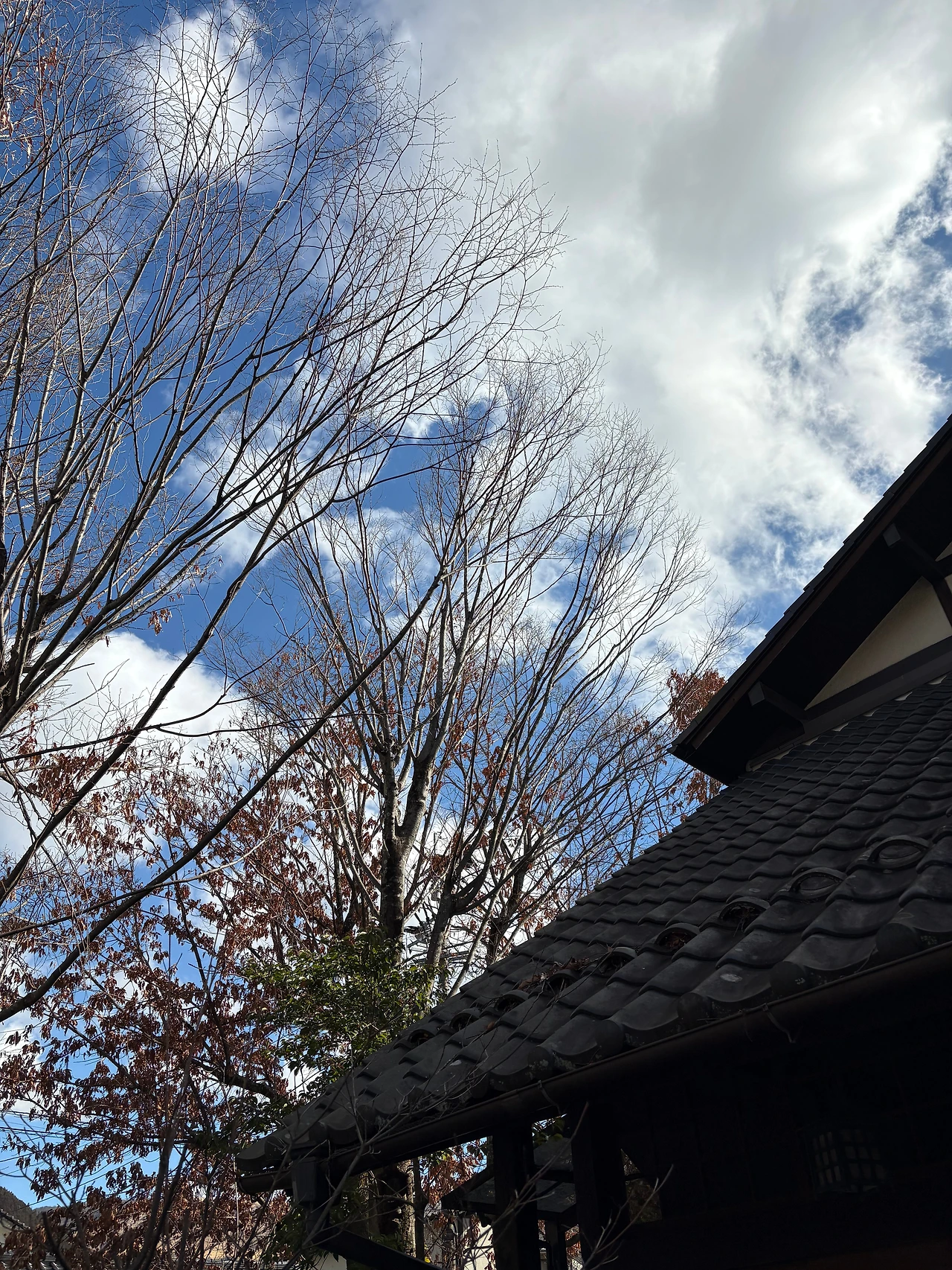 KakaoTalk_Photo_2026-03-06-14-49-09 003.jpeg